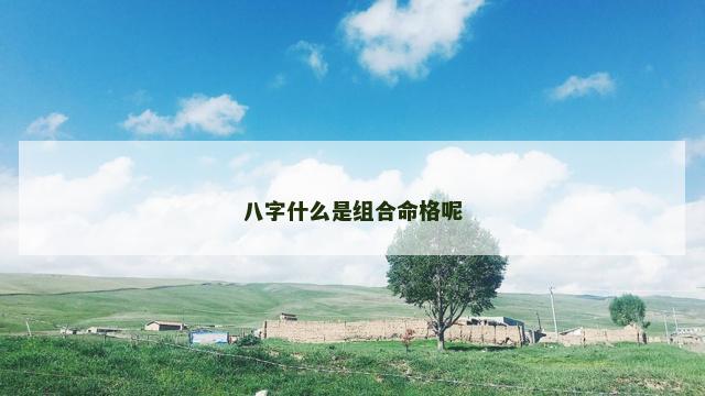 八字什么是组合命格呢