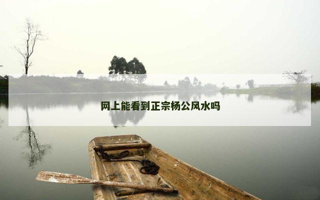 网上能看到正宗杨公风水吗