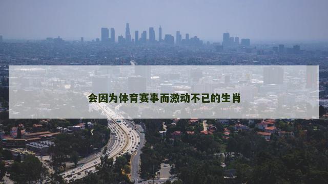 会因为体育赛事而激动不已的生肖