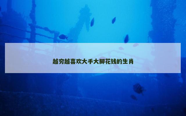 越穷越喜欢大手大脚花钱的生肖