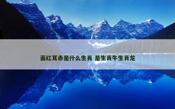 面红耳赤是什么生肖 是生肖牛生肖龙