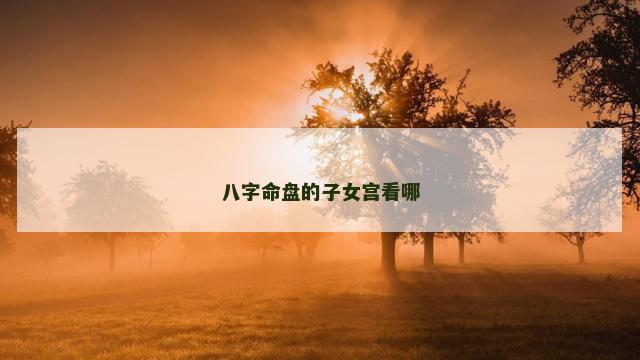 八字命盘的子女宫看哪