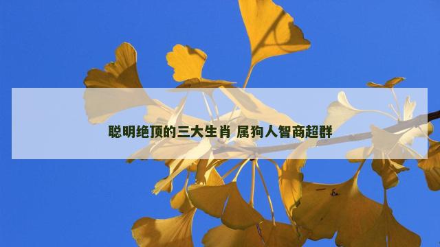 聪明绝顶的三大生肖 属狗人智商超群