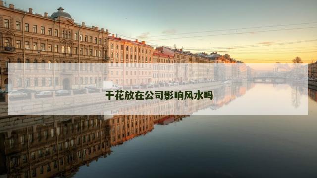 干花放在公司影响风水吗