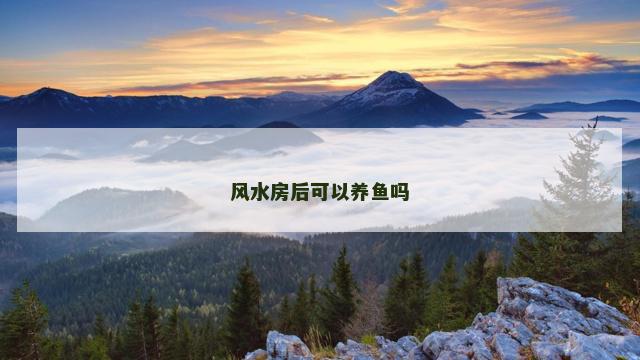 风水房后可以养鱼吗