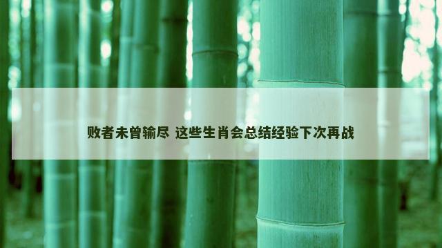 败者未曾输尽 这些生肖会总结经验下次再战