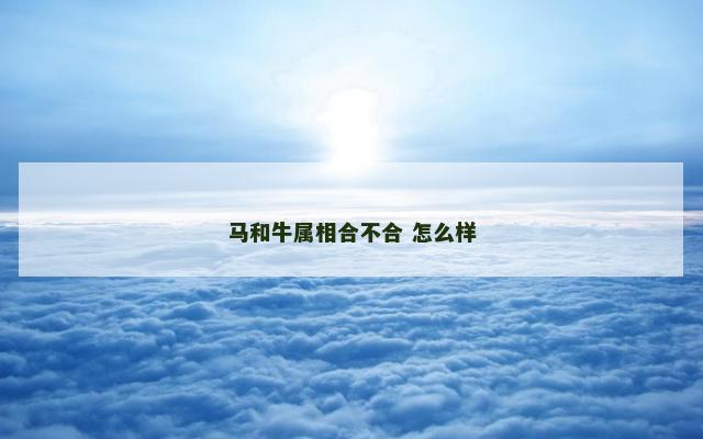 马和牛属相合不合 怎么样