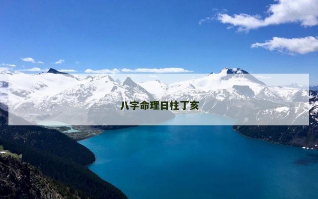八字命理日柱丁亥