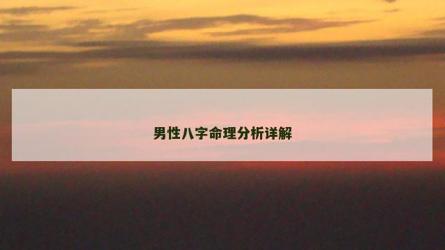 男性八字命理分析详解