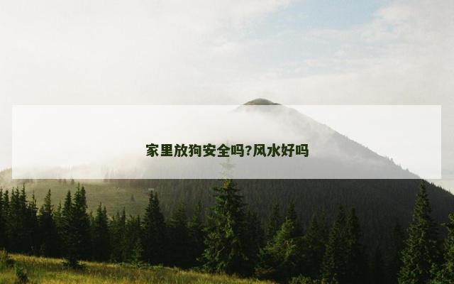 家里放狗安全吗?风水好吗