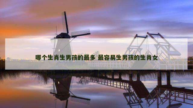 哪个生肖生男孩的最多 最容易生男孩的生肖女