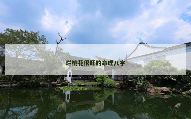 烂桃花很旺的命理八字