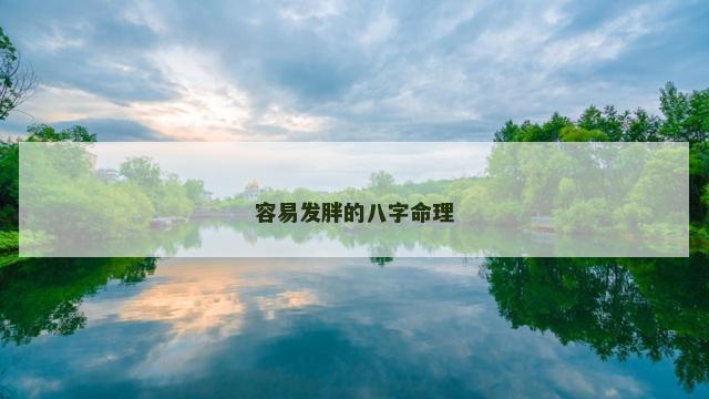 容易发胖的八字命理