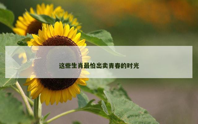 这些生肖最怕出卖青春的时光