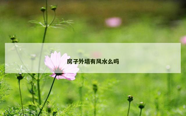 房子外墙有风水么吗