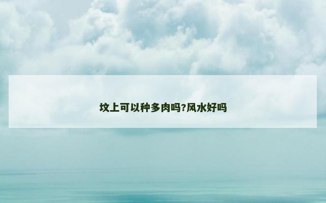 坟上可以种多肉吗?风水好吗