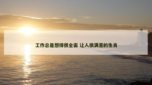 工作总是想得很全面 让人很满意的生肖