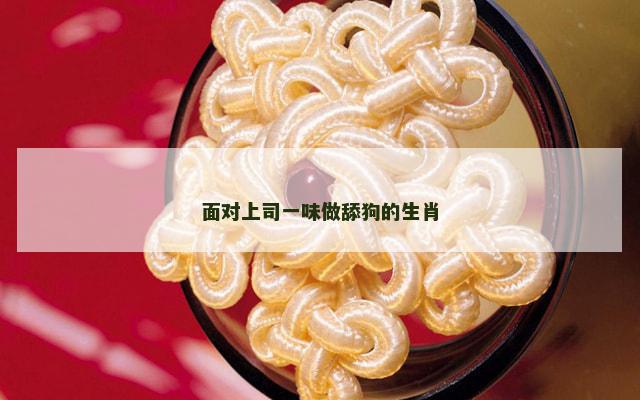面对上司一味做舔狗的生肖