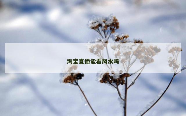 淘宝直播能看风水吗