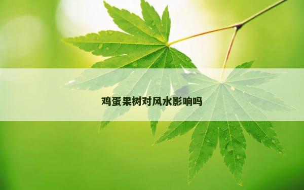鸡蛋果树对风水影响吗