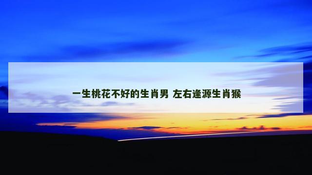 一生桃花不好的生肖男 左右逢源生肖猴