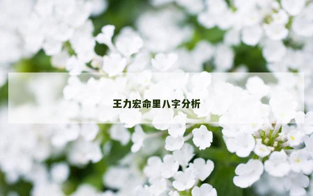 王力宏命里八字分析