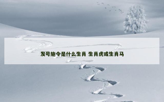 发号施令是什么生肖 生肖虎或生肖马