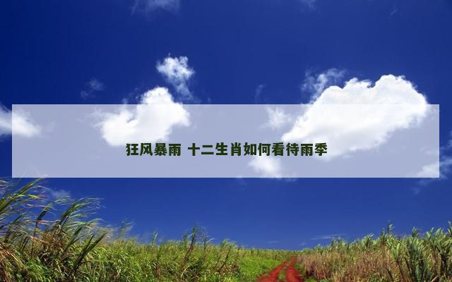 狂风暴雨 十二生肖如何看待雨季
