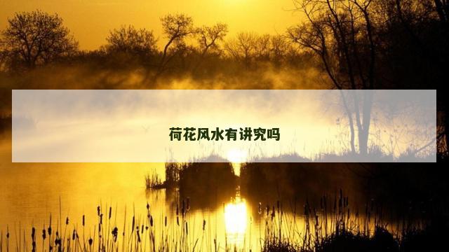 荷花风水有讲究吗