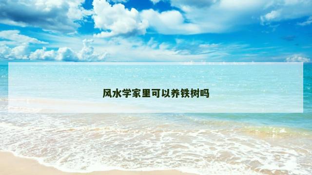 风水学家里可以养铁树吗