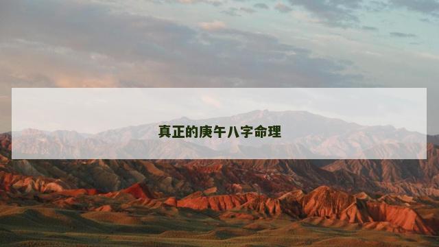 真正的庚午八字命理