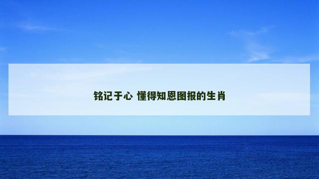铭记于心 懂得知恩图报的生肖