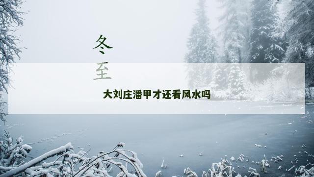 大刘庄潘甲才还看风水吗