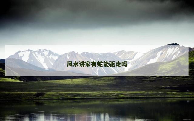 风水讲家有蛇能驱走吗