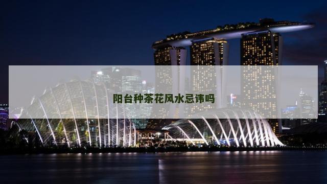 阳台种茶花风水忌讳吗