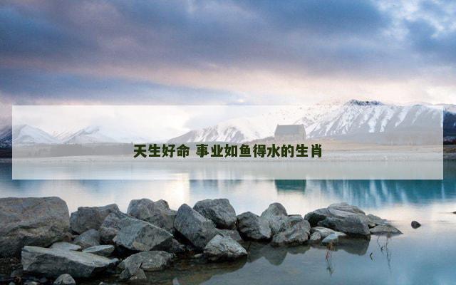 天生好命 事业如鱼得水的生肖