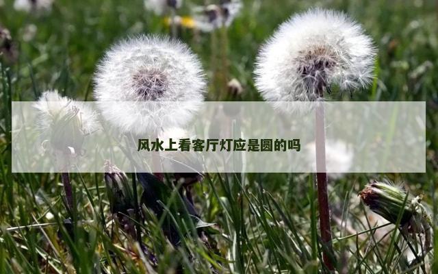 风水上看客厅灯应是圆的吗