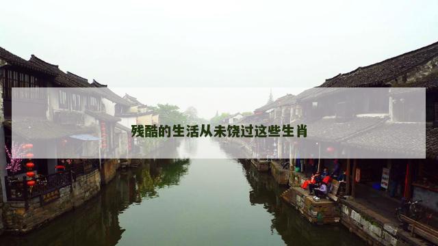 残酷的生活从未饶过这些生肖