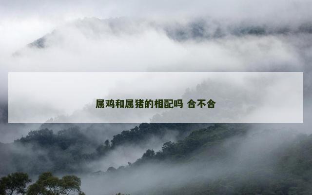 属鸡和属猪的相配吗 合不合