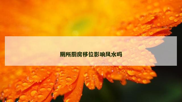 厕所厨房移位影响风水吗