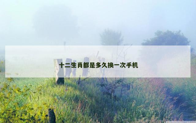 十二生肖都是多久换一次手机