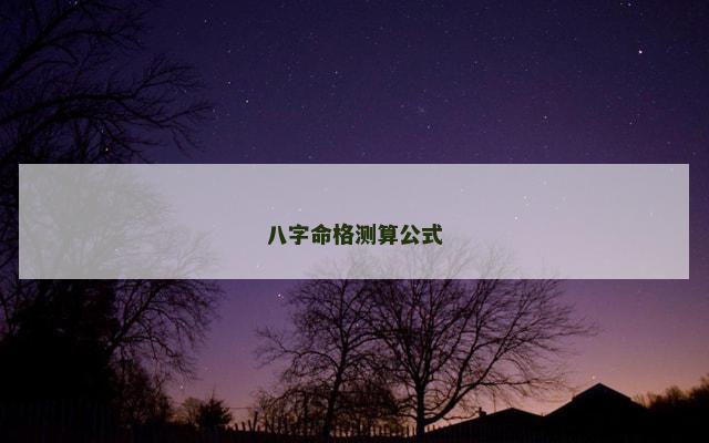 八字命格测算公式