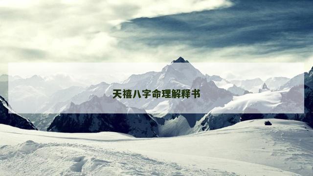 天禧八字命理解释书
