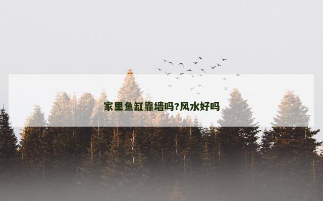 家里鱼缸靠墙吗?风水好吗