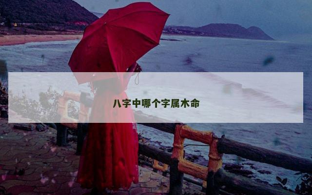 八字中哪个字属木命