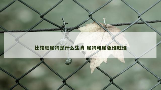 比较旺属狗是什么生肖 属狗和属兔谁旺谁