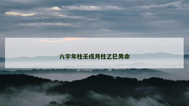 八字年柱壬戌月柱乙巳男命