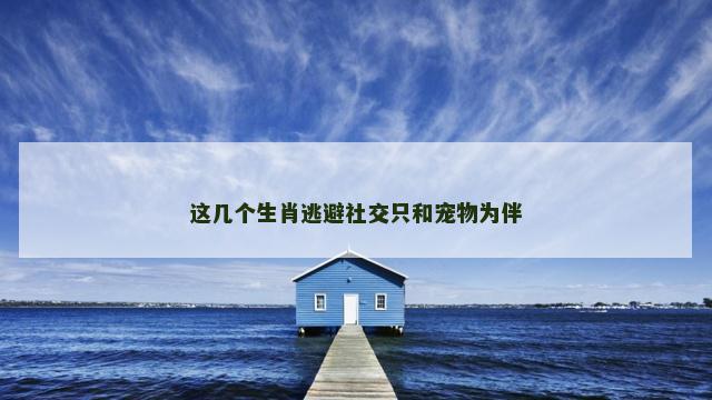 这几个生肖逃避社交只和宠物为伴