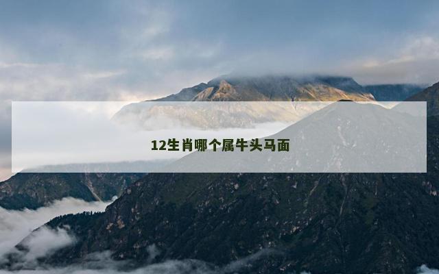 12生肖哪个属牛头马面