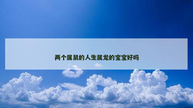 两个属鼠的人生属龙的宝宝好吗